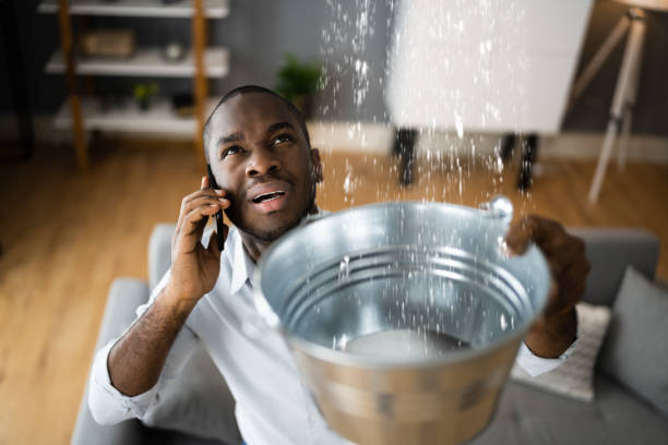 Best Water damage restoration near me  in Mancelona, MI