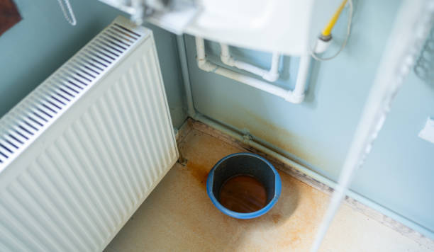 Best Professional water damage repair  in Mancelona, MI