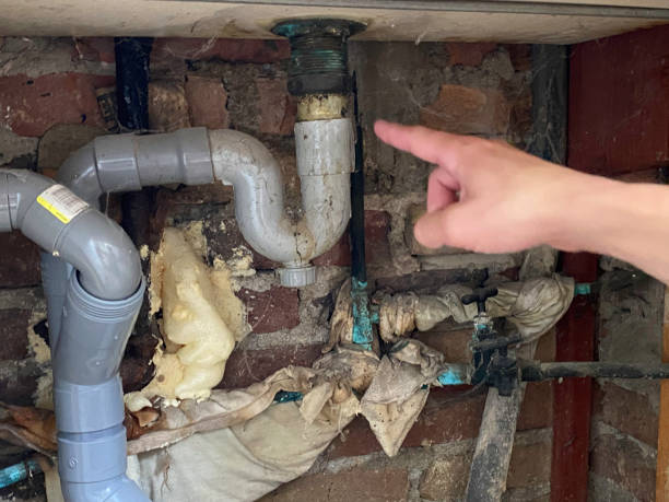 Best Water damage restoration near me  in Mancelona, MI