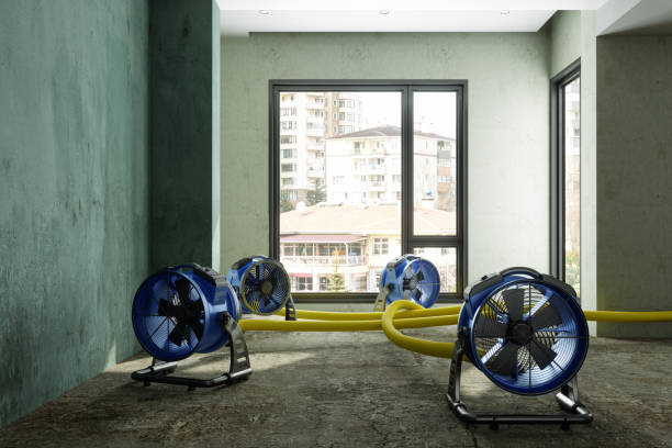 Best Ceiling water damage repair  in Mancelona, MI