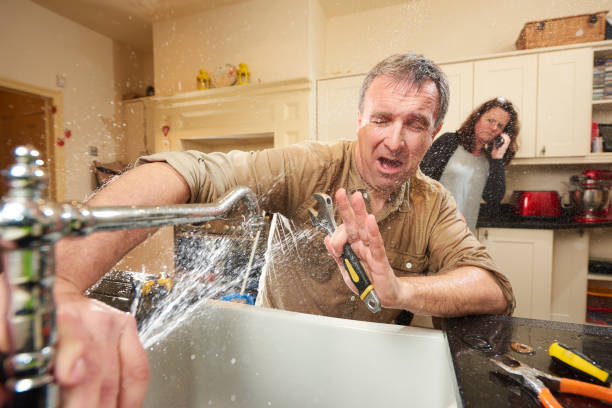 Best Water damage cleanup near me  in Mancelona, MI
